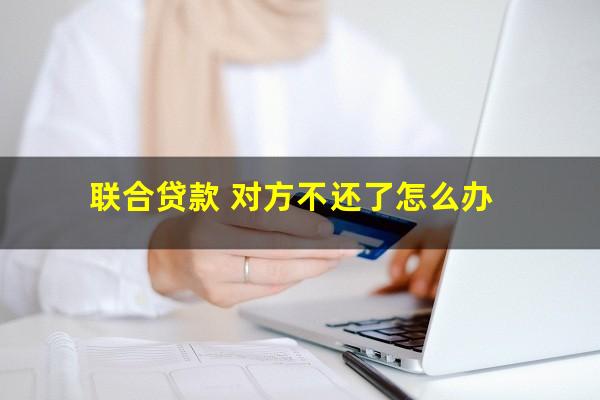 联合贷款 对方不还了怎么办